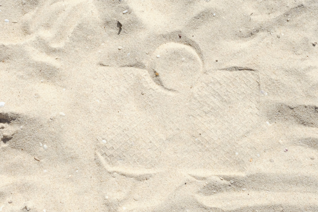 the handbag. — medium