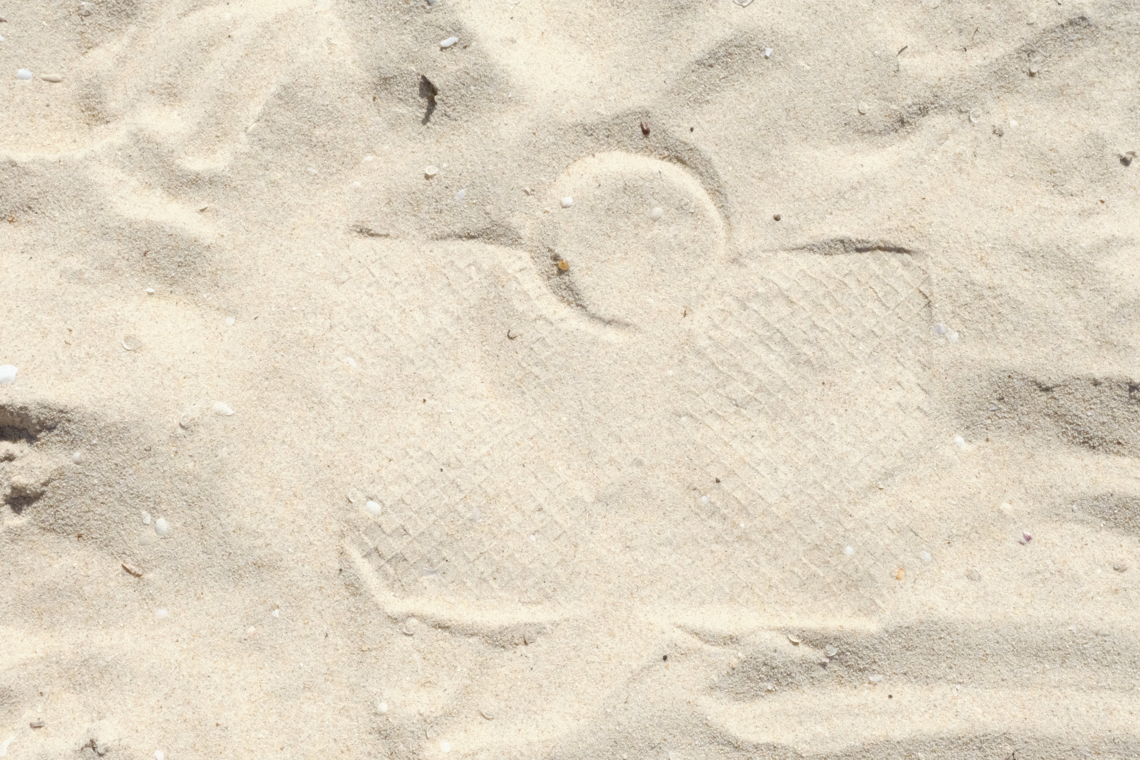 the handbag. — medium