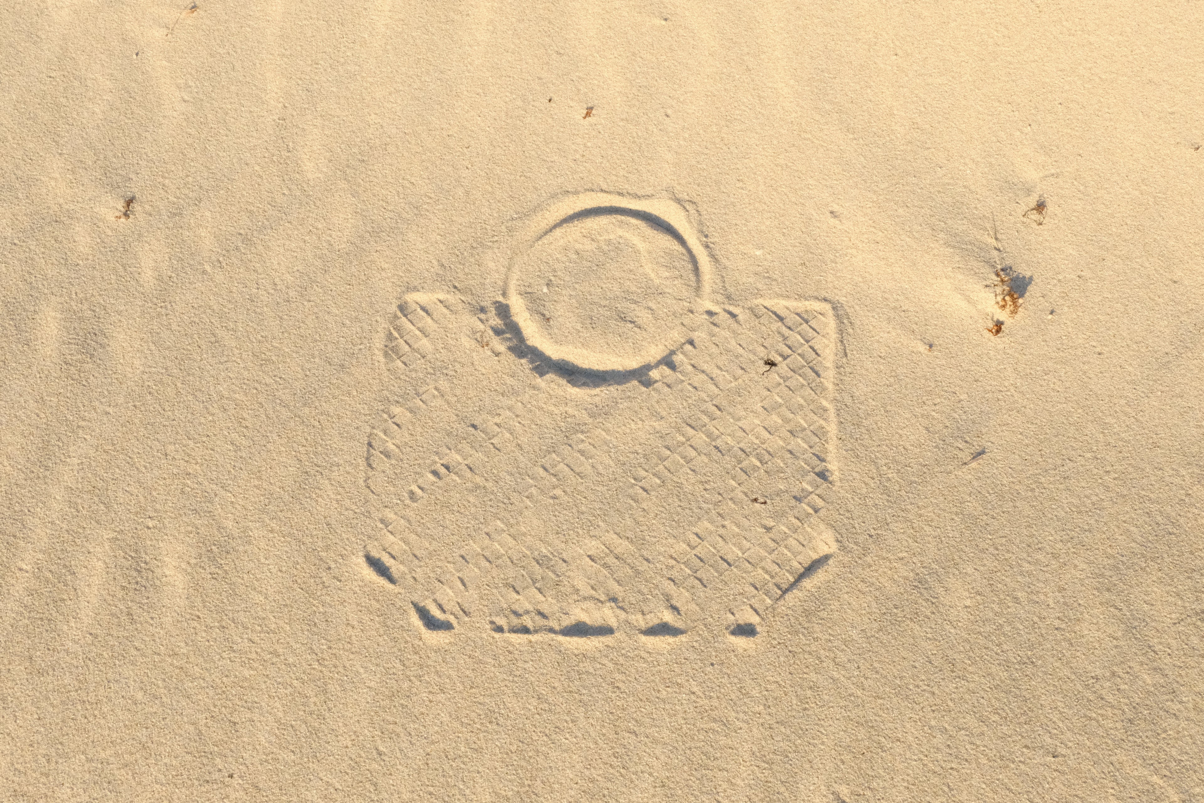 the handbag. — mini