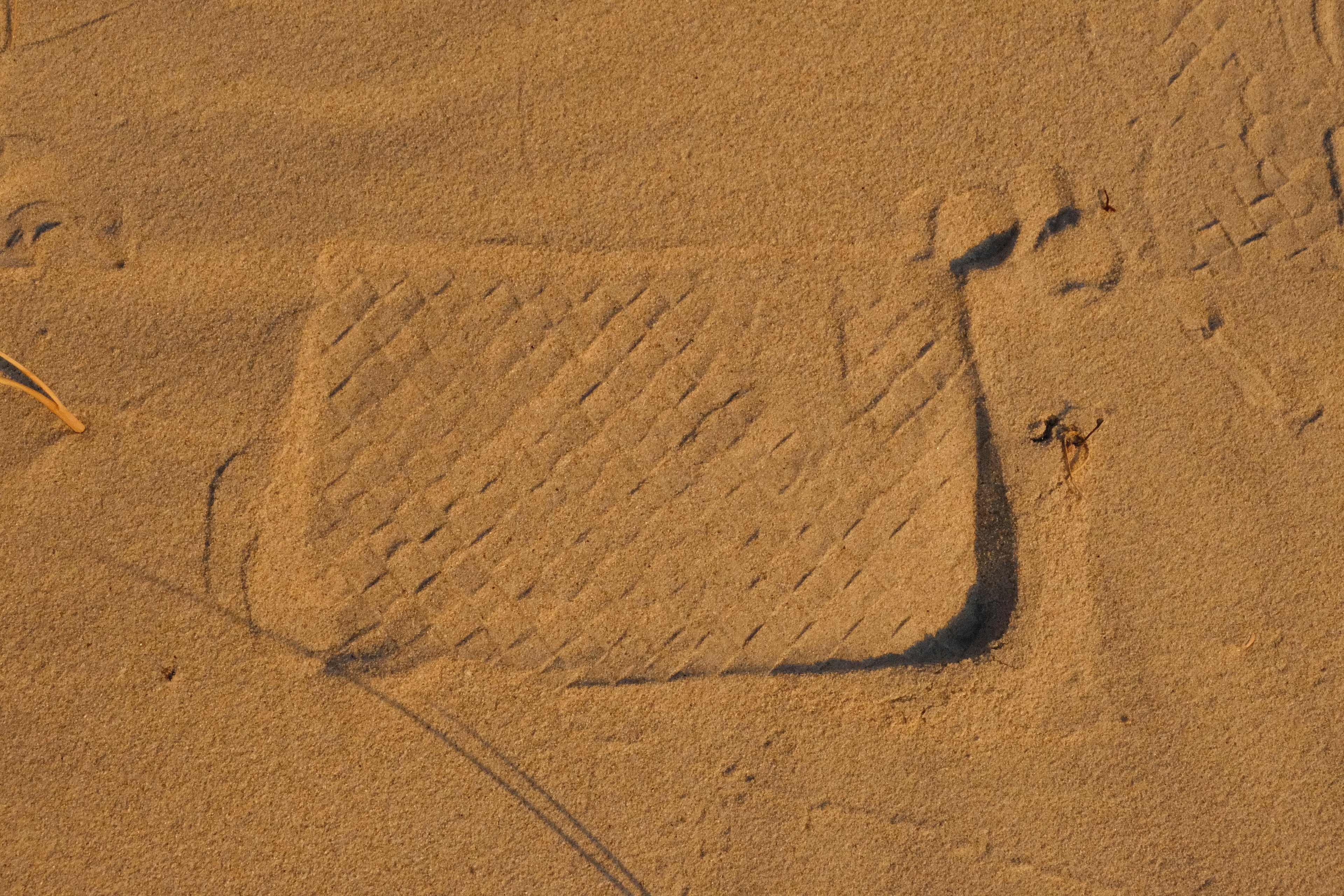 the clutch. — small